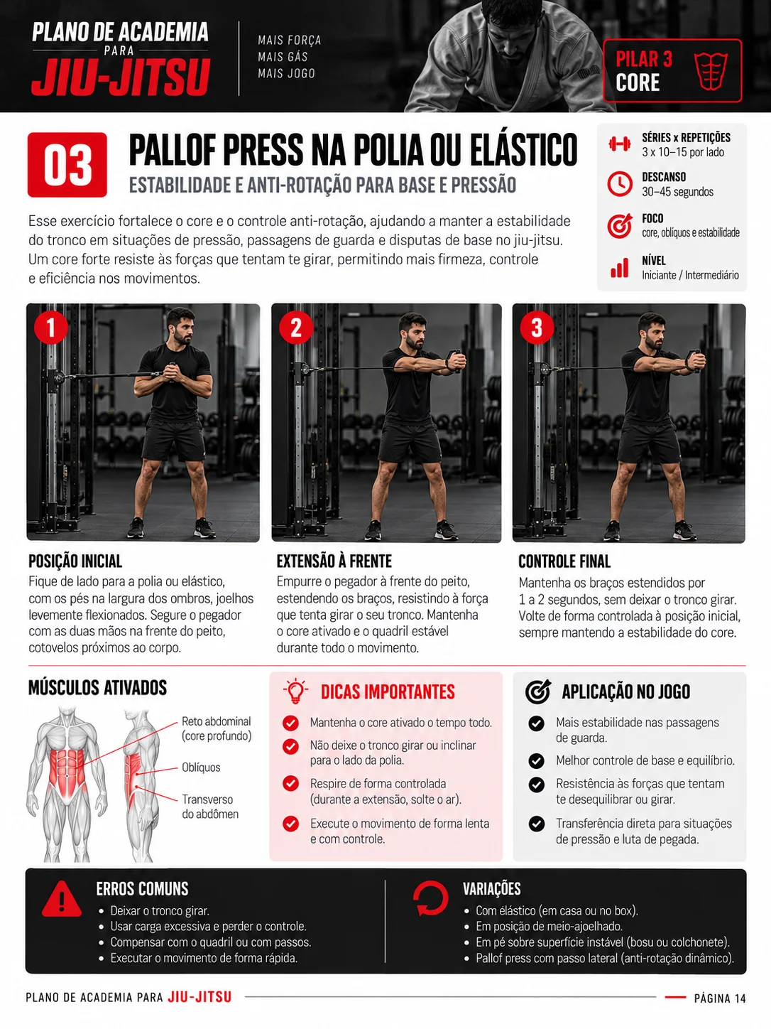 Página do material: Pallof press na polia ou elástico